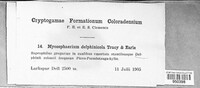 Image Associated With the Occurence